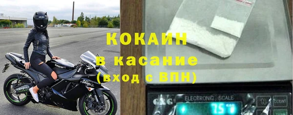 гидра Горняк