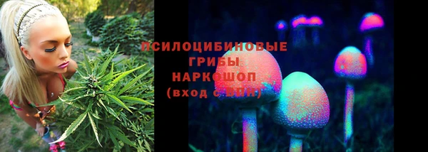 марки lsd Горно-Алтайск