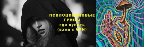 spice Горнозаводск