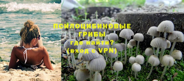 марки lsd Горно-Алтайск