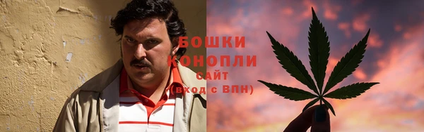 гидра Горняк