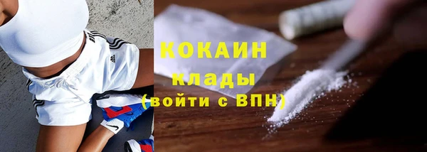 гидра Горняк