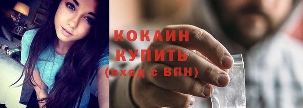 гидра Горняк