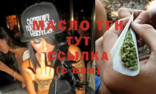 гидра Горняк