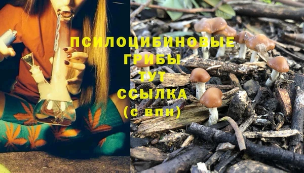 гидра Горняк
