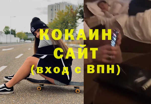 гидра Горняк