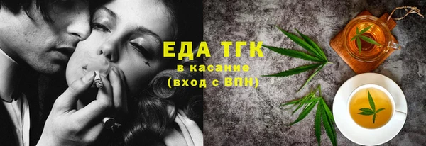 гидра Горняк