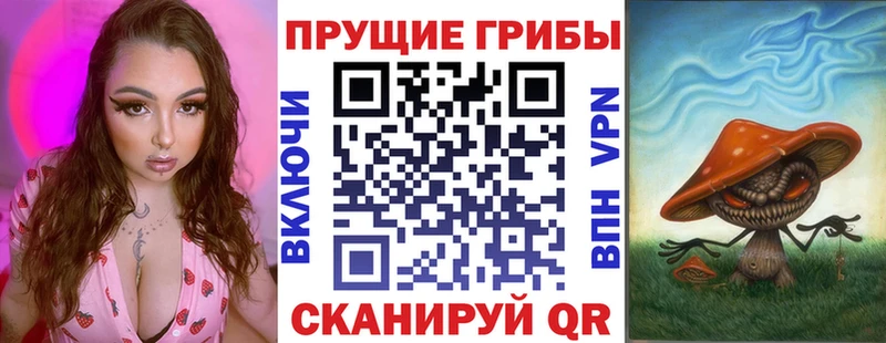 Псилоцибиновые грибы Cubensis  Купить  Североуральск 